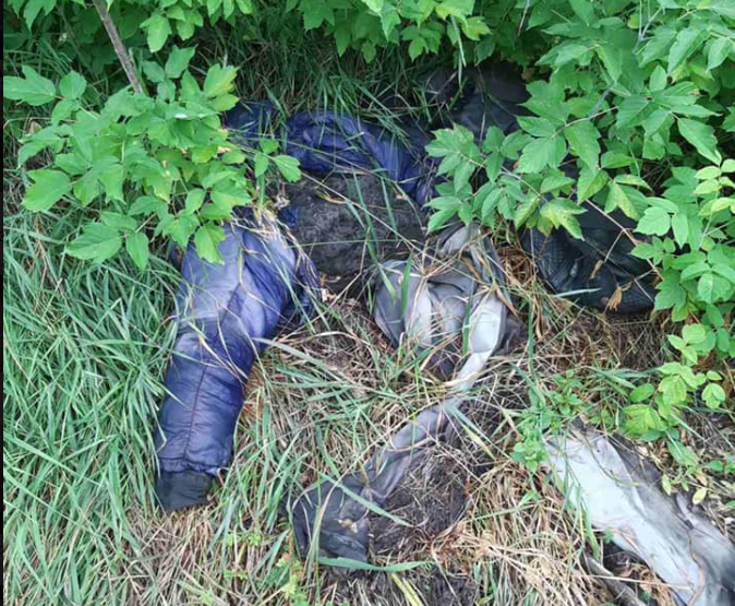 В Балаклейском районе найдены останки человека