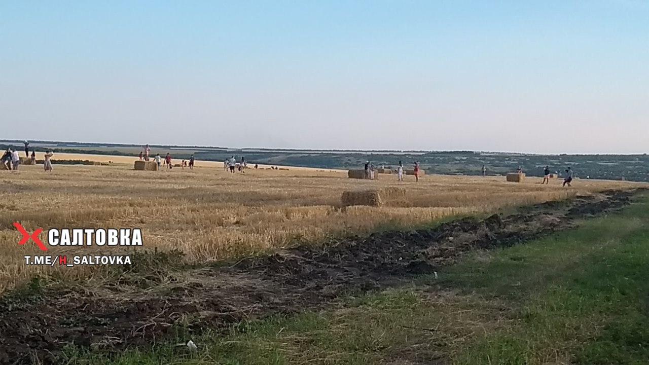 Поле с соломой вызвало ажиотаж у харьковчан (фото, видео)