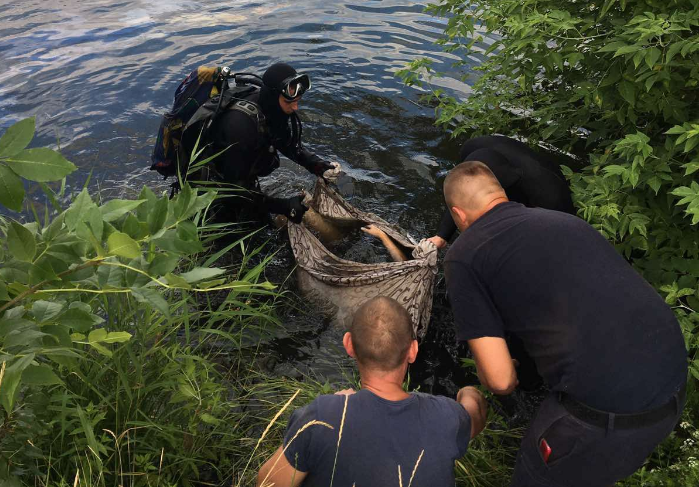 В Харькове утонул ребенок