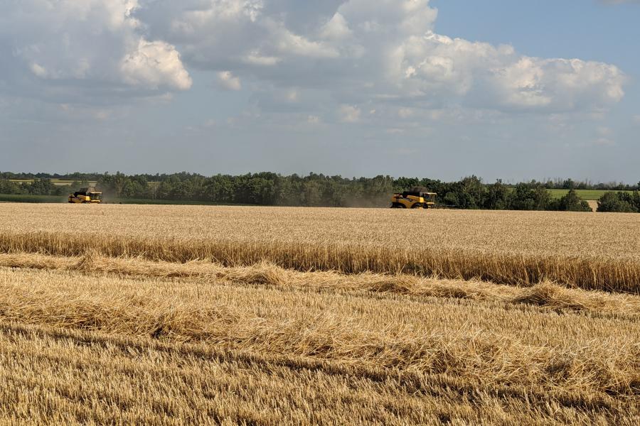 В Харьковской области намолотили 2,5 миллиона тонн зерна