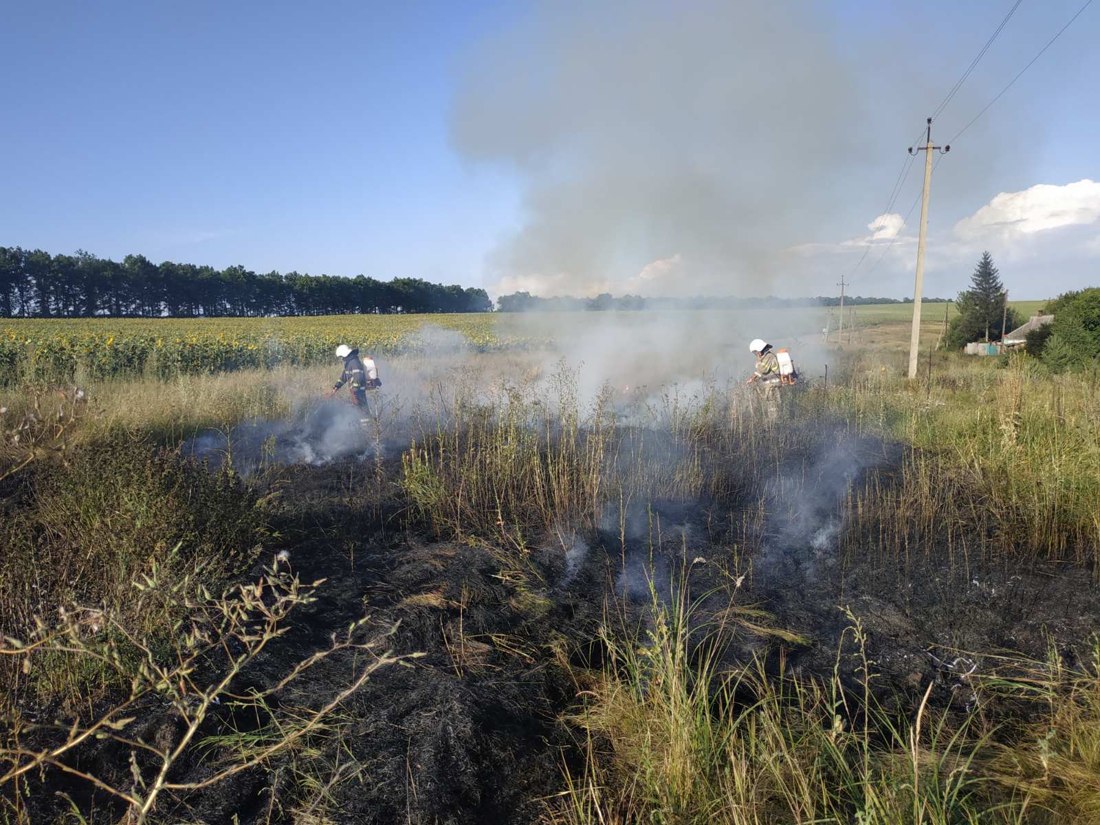 Под Харьковом загорелся гектар сухой травы