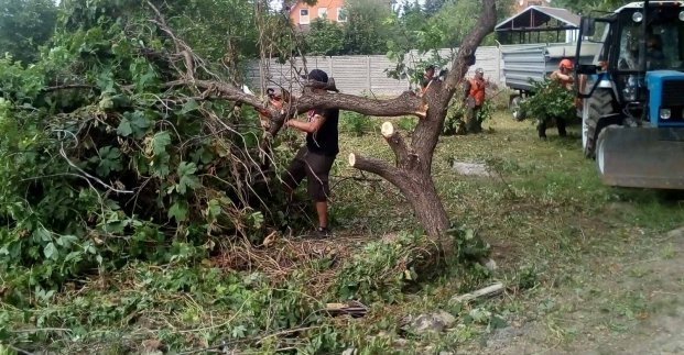 На Немышле снесли два десятка аварийных деревьев (фото)