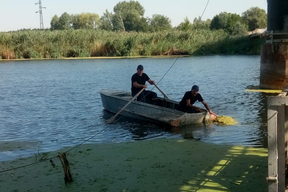 В Северском Донце нашли утопленника