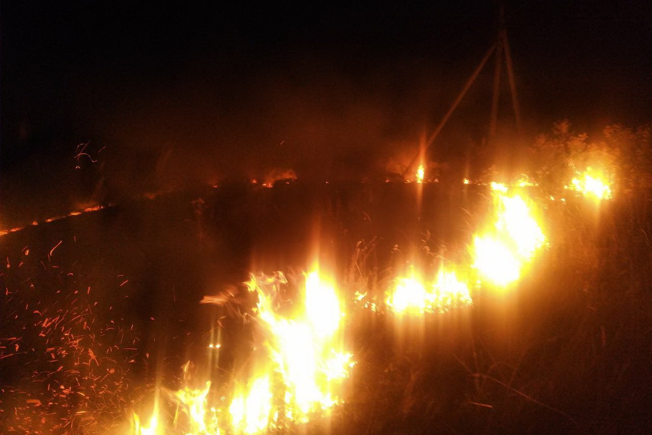 В Изюмском районе загорелась лесополоса