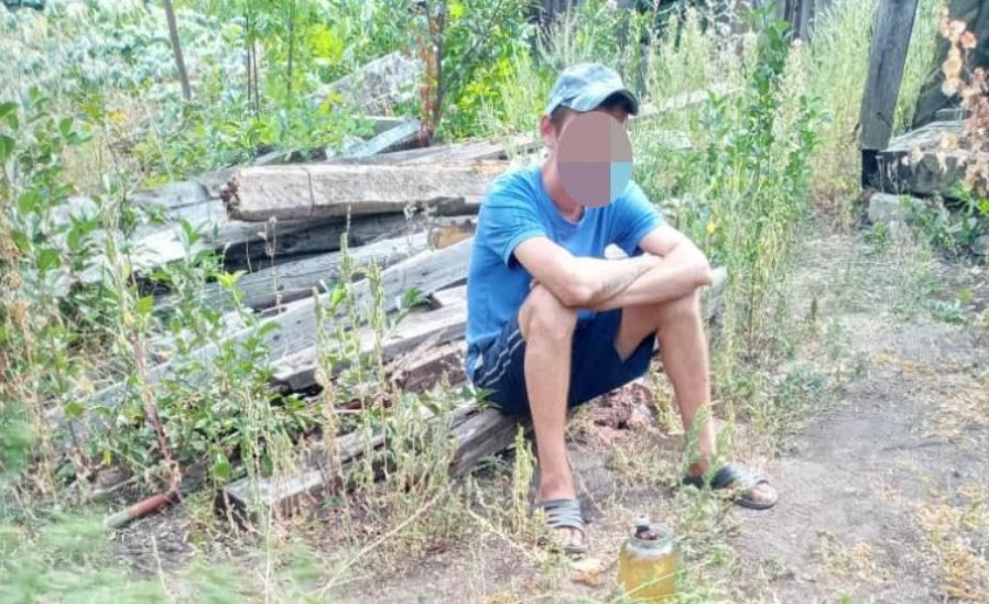 В Барвенково обнаружена плантация конопли