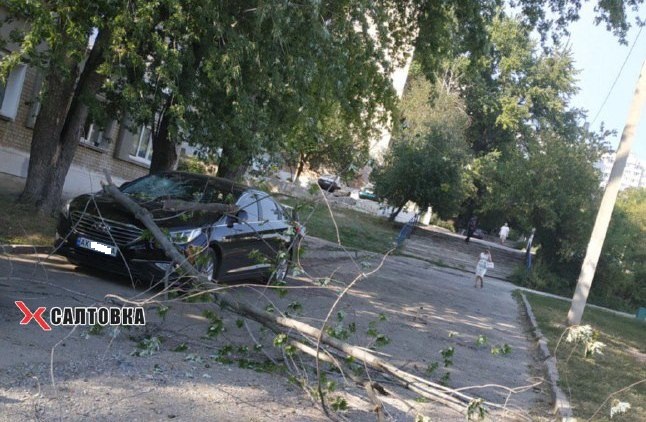 На Салтовке на машину рухнула ветка дерева (фото)