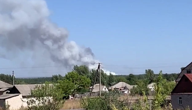 Под Чугуевом горит лес (видео)