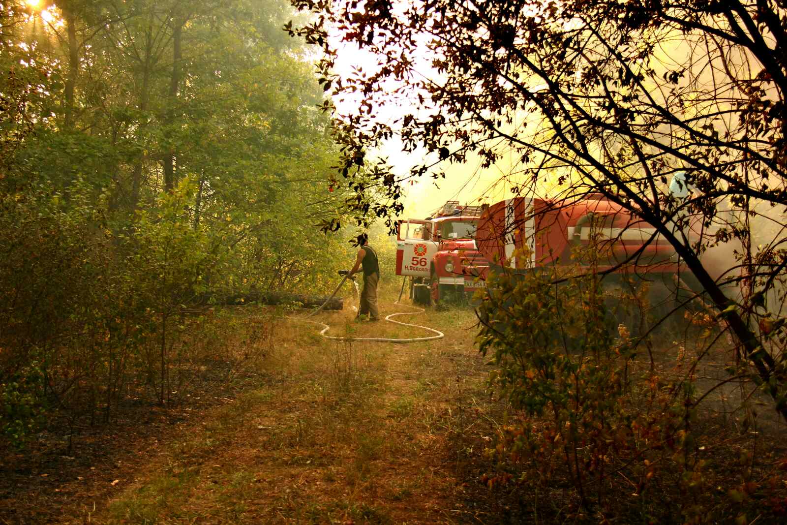 Под Харьковом снова случился лесной пожар