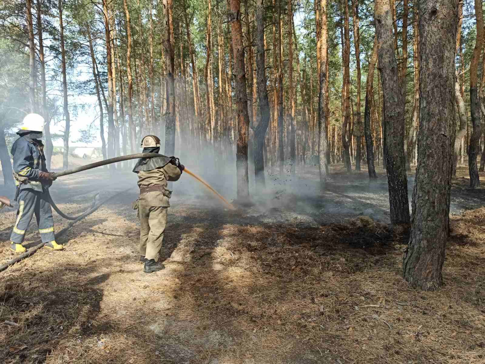 В области - десятки природных пожаров