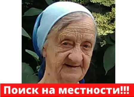 Под Харьковом ищут бабушку, которая двое суток не может выйти из леса (фото)