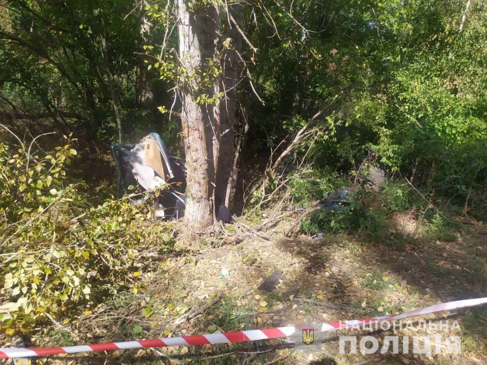 Машина слетела в кювет и врезалась в дерево: погибли парень с девушкой (фото)