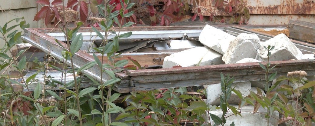 Старые окна на газоне: уголовное дело против сотрудника института закрыли