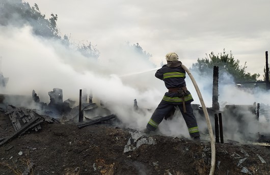 В Лозовском районе на пожаре погибли домашние животные