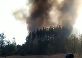 Под Волчанском горит лес (видео)