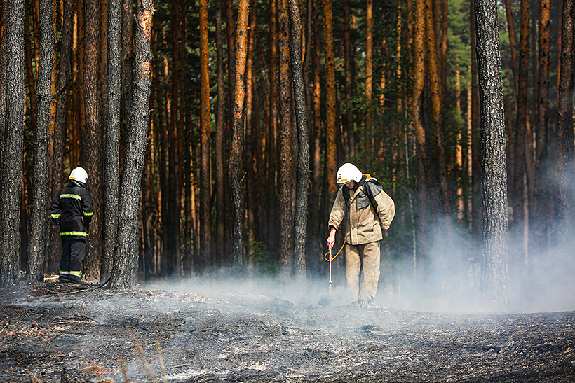 Курсанты Нацгвардии первыми заметили лесной пожар и бросились его тушить