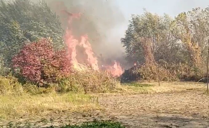 Пожар в Жихаре: открыто уголовное производство