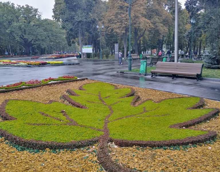 В парке Шевченко обновили клумбы (фото)