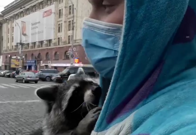 На митинг в центре Харькова вышел енот