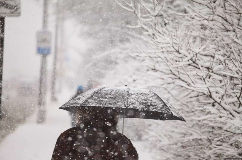 Харьков засыплет мокрым снегом