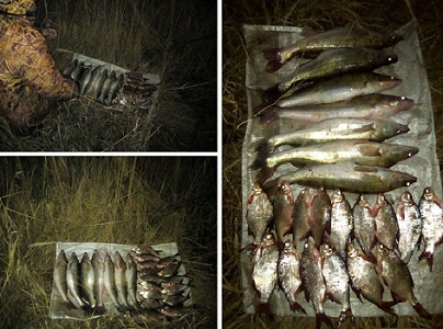 На водохранилище под Харьковом орудовал рыбный браконьер