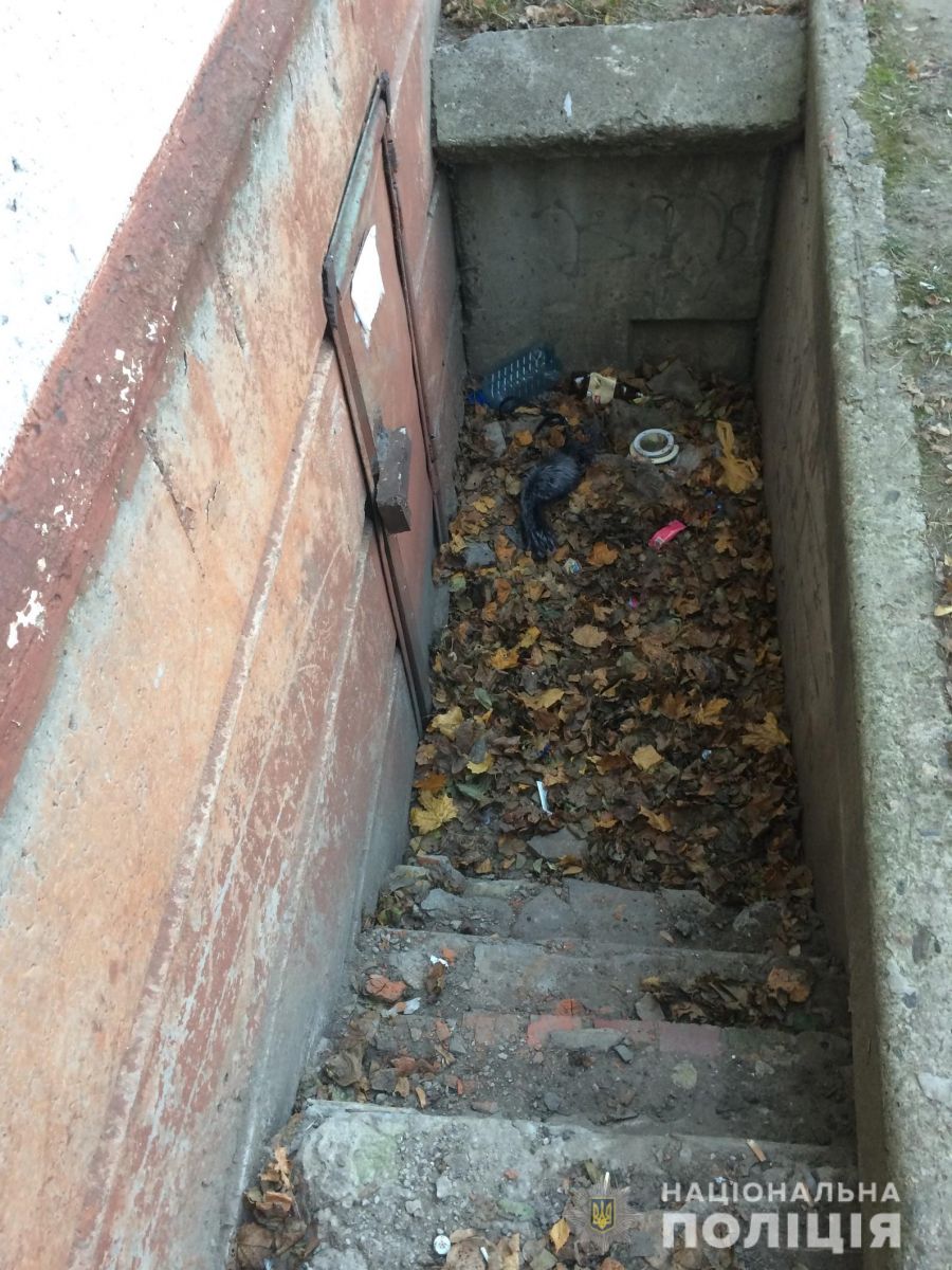 изнасилование бабушки, серийный насильник, харьков насильник