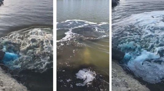 В водохранилище возле Чугуева выпустили десятки тысяч толстолобиков, карпов и амуров