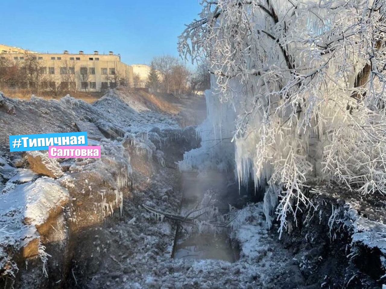В Харькове появились ледяные деревья (видео)