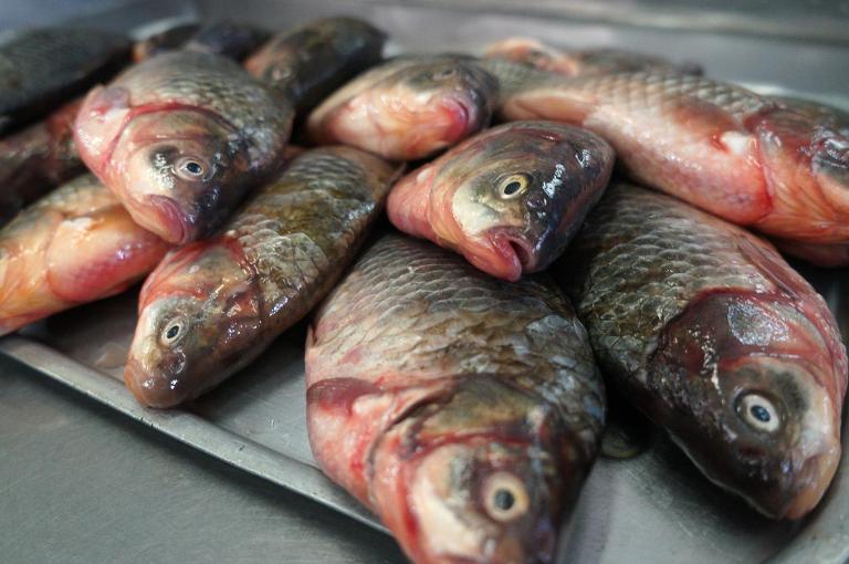 На рынке в Харькове изъяли рыбу