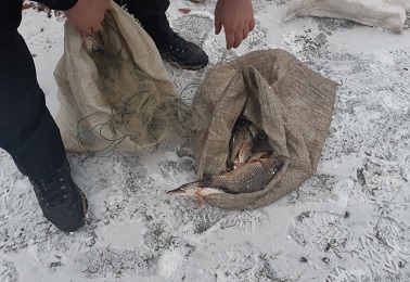 Под Харьковом браконьеры наловили рыбы на тысячи гривен