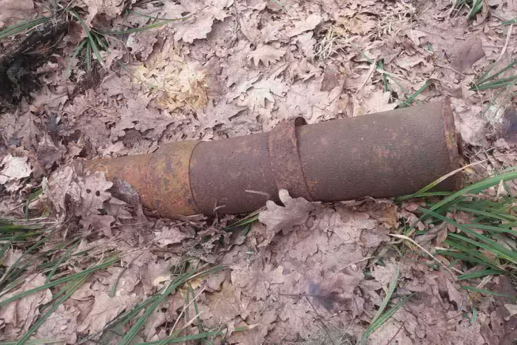 В лесу в Жихаре нашли десятки взрывоопасных предметов