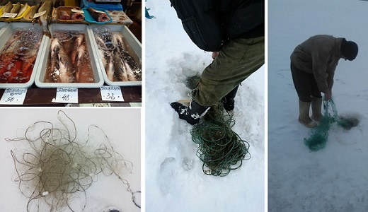 На харьковском рынке изъяли из продажи рыбу и раков