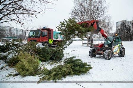 Харьковчане отказываются от елок