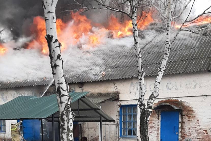 Под Харьковом массово горят автомобили (фото)