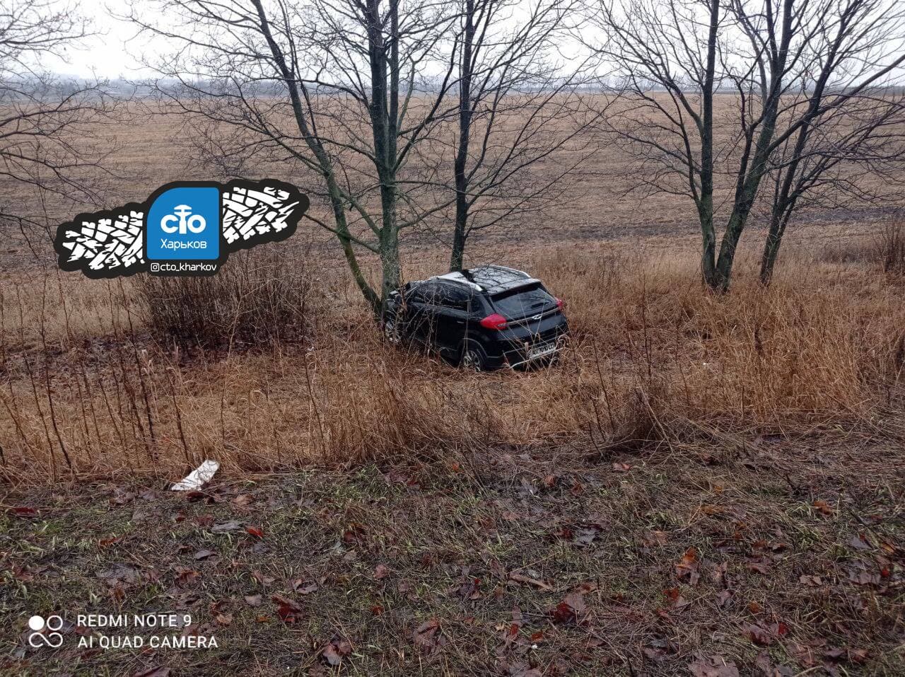 На окружной машина вылетела с дороги и врезалась в дерево (фото)