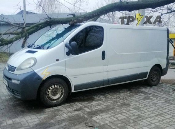 В Харькове на машину рухнуло дерево