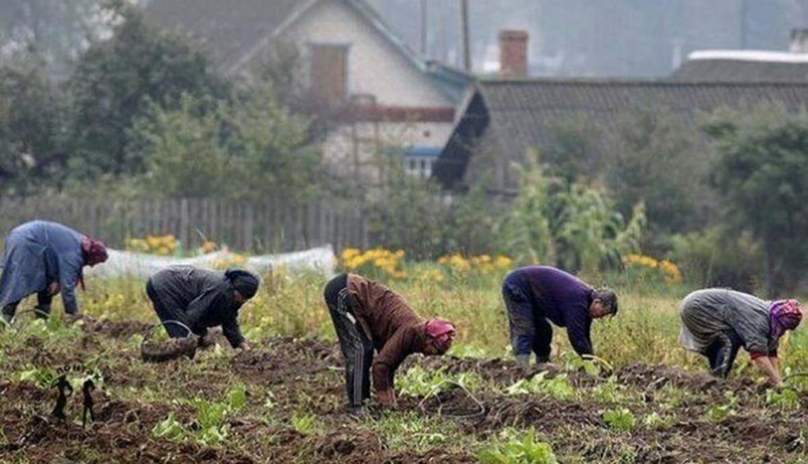 Область завалена мусором. Экологи обвиняют дачников