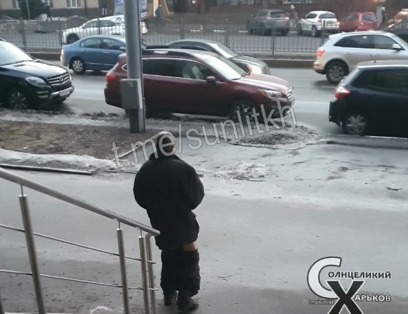 Мужчина прошелся по центру Харькова, сняв штаны (видео)