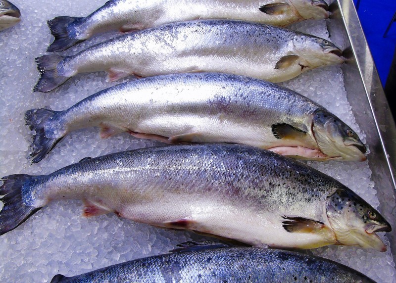 С харьковских рынков изъяли килограммы рыбы