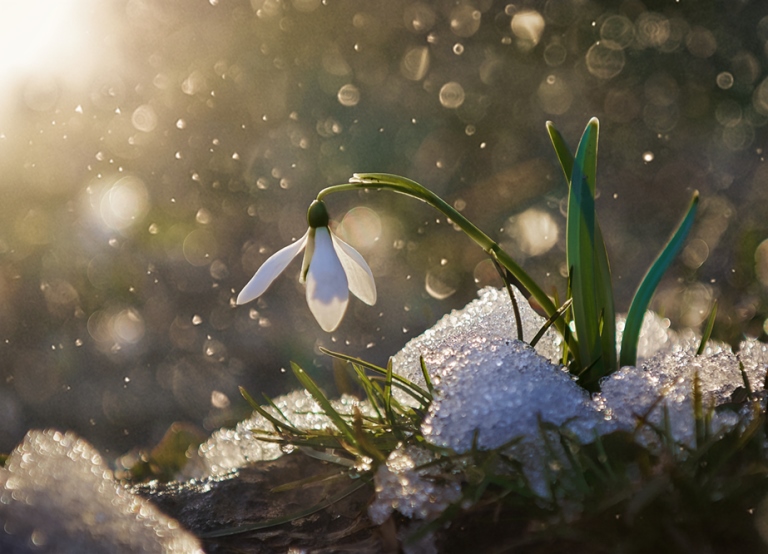 В Харькове снова резко изменится погода: к чему готовиться горожанам