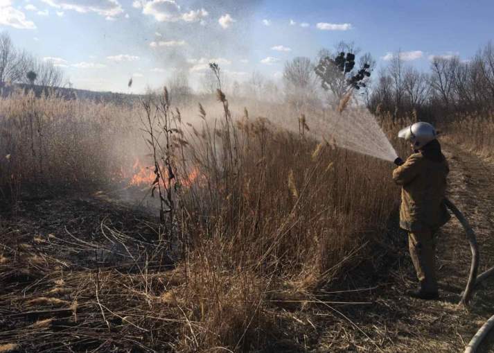 Под Харьковом – масштабные пожары из-за выжигания травы
