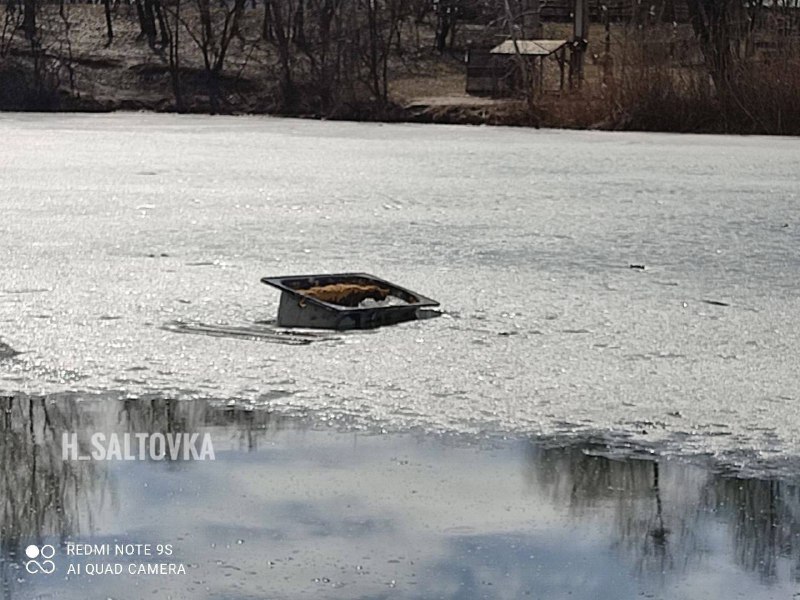 Шины и даже ванна: река в Харькове завалена мусором