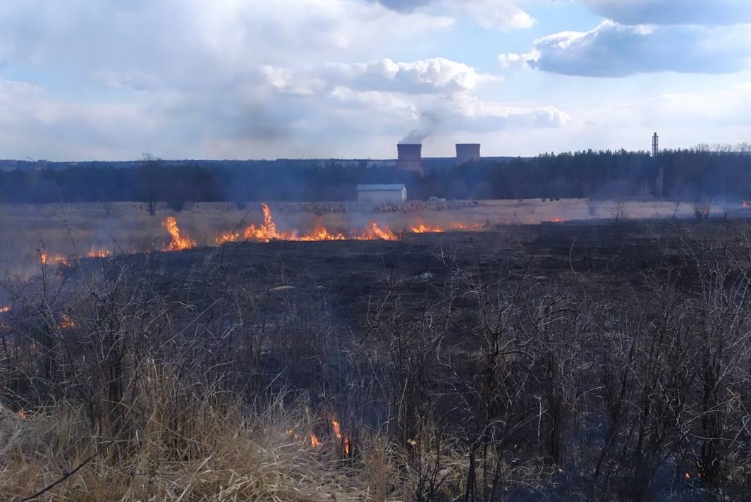усадьба, пожар, пожары сухостой