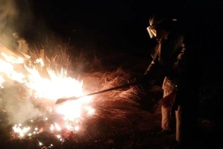 Природа в огне. В Харьковской области полыхает трава, выгорели десятки гектаров