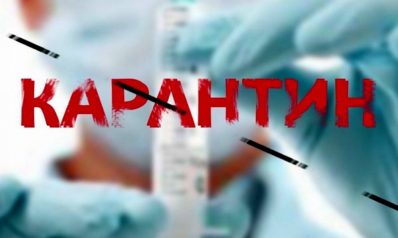 Красная зона: что будет с транспортом и что закроют в ...