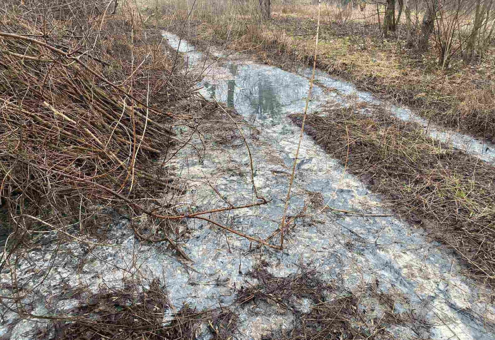 Экологи бьют тревогу: в Харькове в реку вылили неизвестное вещество (фото)