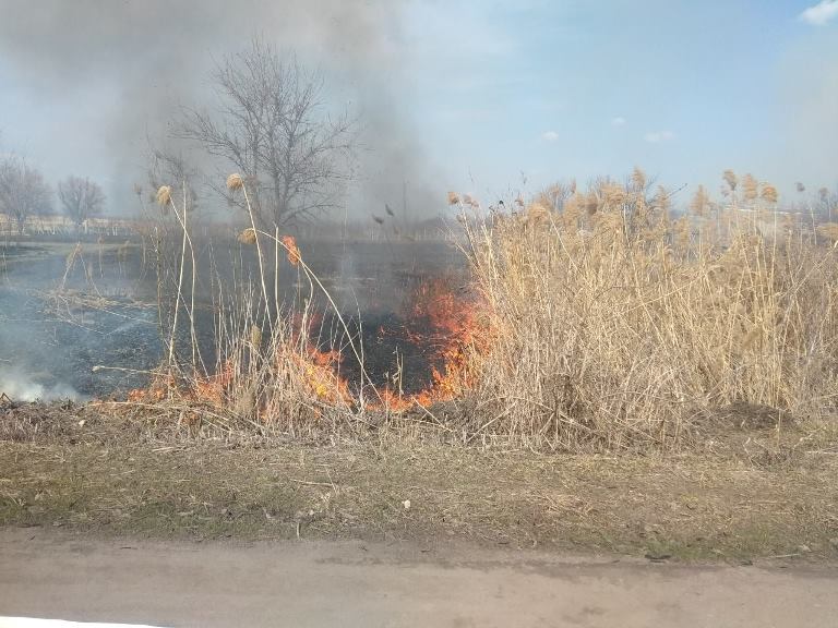Под Харьковом женщина устроила масштабный пожар, сжигая малинник