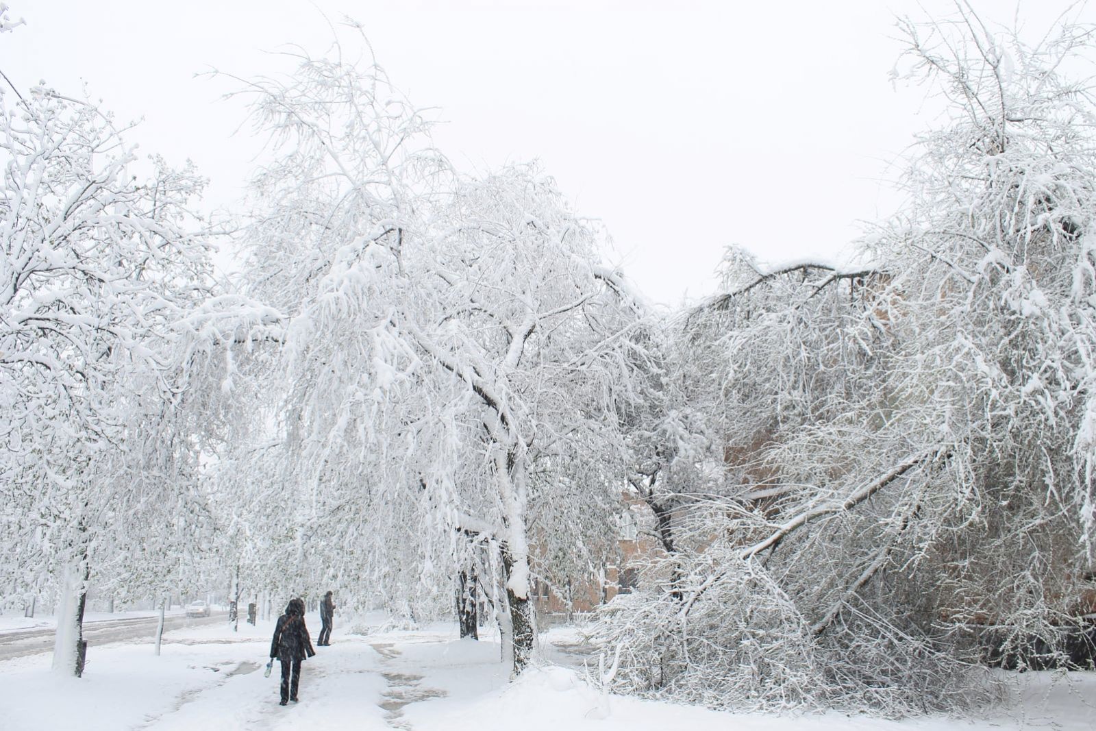Бывало и хуже: четыре года назад в этот день Харьков засыпало снегом (фото)