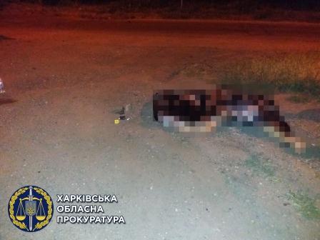 Насмерть сбил парня на пешеходном переходе и сбежал: в Харькове вынесли приговор водителю-лихачу