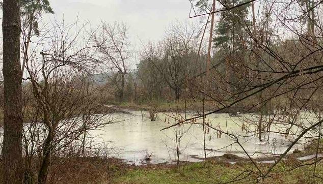 Под Харьковом сточные воды сбрасывают прямо в лес