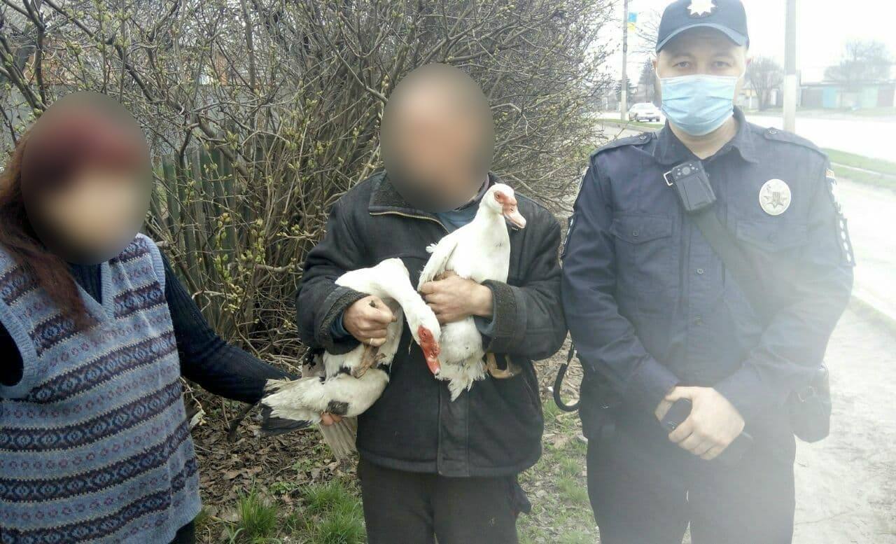 утки, птицы, полицейские